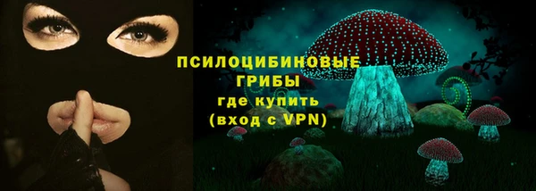 тгк Абаза