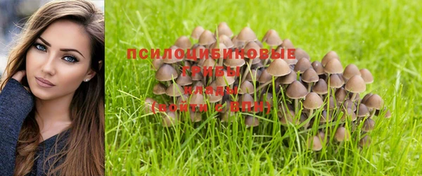 соль курить ск Абдулино