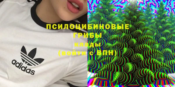 синтетический гашиш Алексеевка