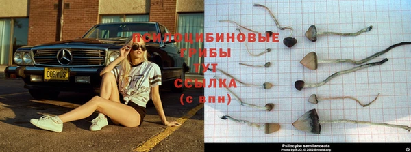таблы Алзамай