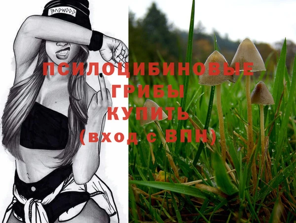 крисы Абинск