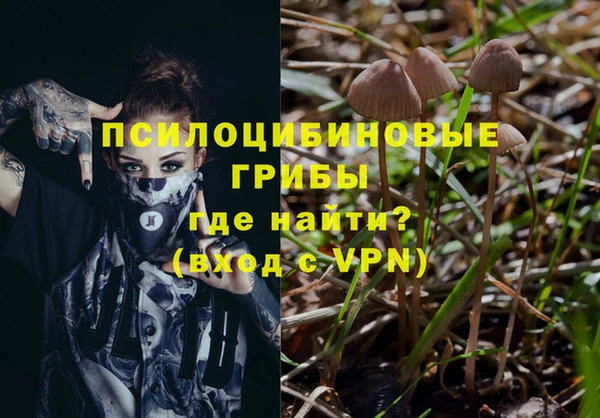 тгк Абаза